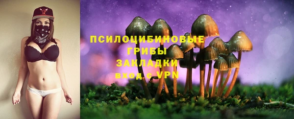СК Горняк