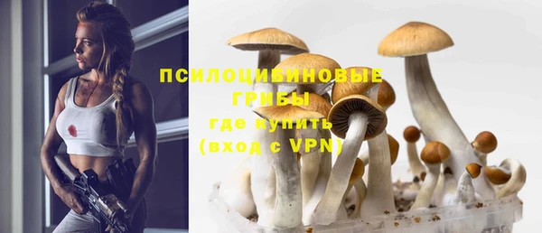 СК Горняк