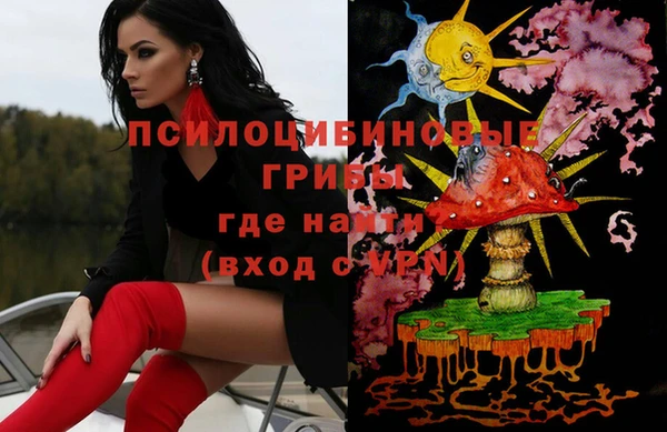 бутират Горнозаводск