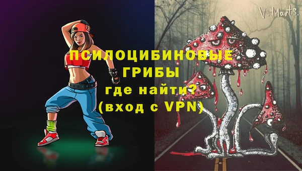 гашик Горно-Алтайск