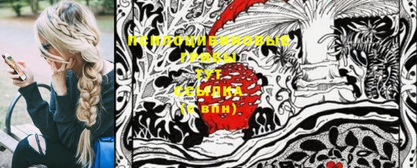гашик Горно-Алтайск