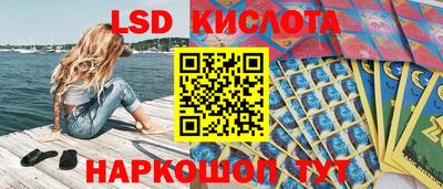 мдпв Будённовск