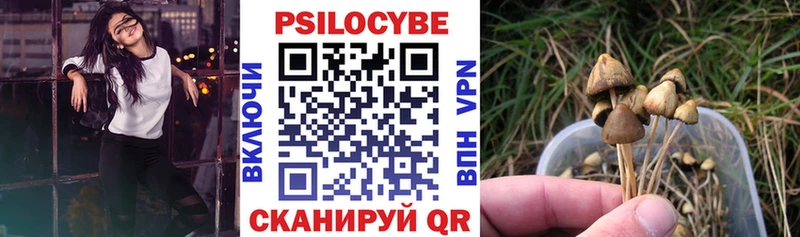 Псилоцибиновые грибы ЛСД дарнет шоп Дмитров