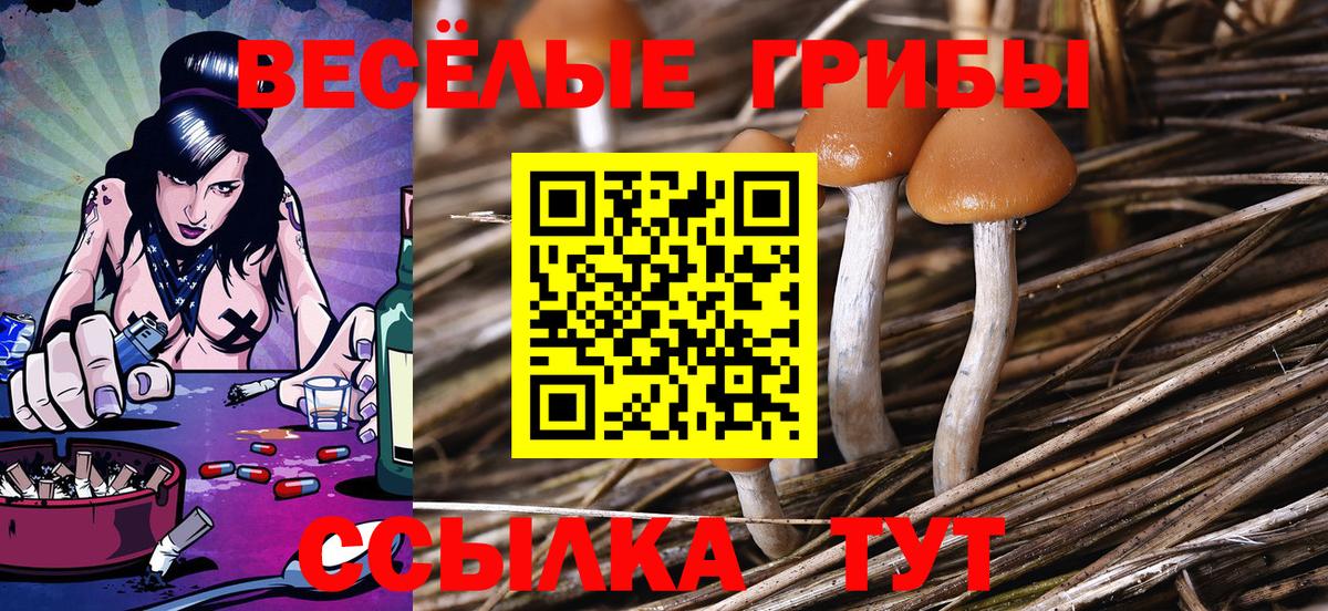 Галлюциногенные грибы мицелий Дмитров