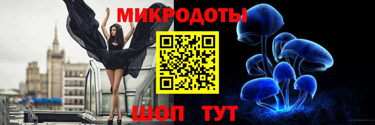 Дмитров  Псилоцибиновые грибы прущие грибы  Вход с VPN 